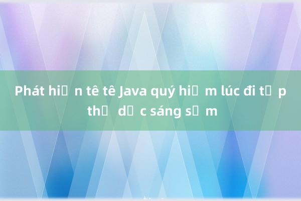 Phát hiện tê tê Java quý hiếm lúc đi tập thể dục sáng sớm