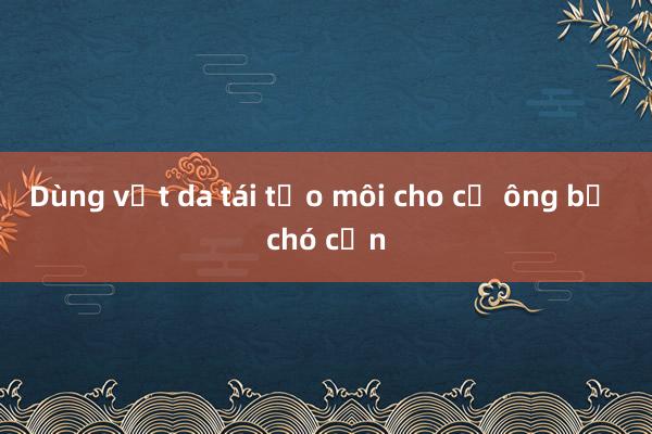 Dùng vạt da tái tạo môi cho cụ ông bị chó cắn