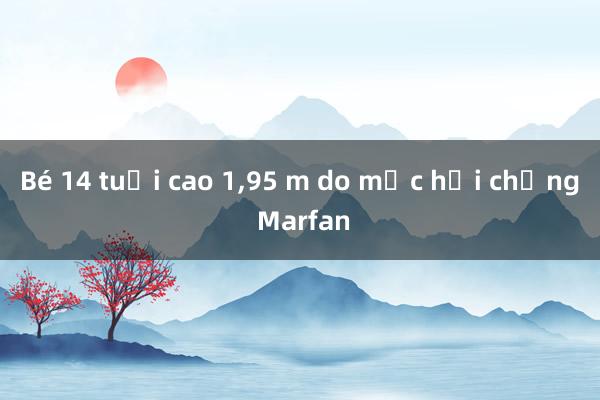 Bé 14 tuổi cao 1，95 m do mắc hội chứng Marfan