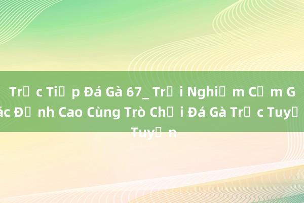 Trực Tiếp Đá Gà 67_ Trải Nghiệm Cảm Giác Đỉnh Cao Cùng Trò Chơi Đá Gà Trực Tuyến