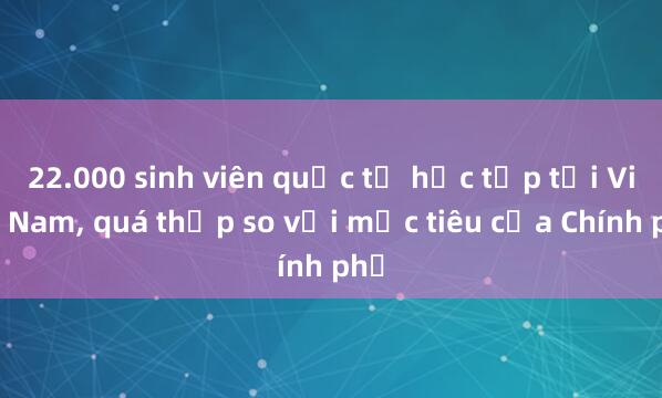 22.000 sinh viên quốc tế học tập tại Việt Nam， quá thấp so với mục tiêu của Chính phủ