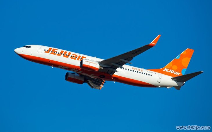 Tranh cãi xoay quanh nguyên nhân thảm kịch Jeju Air khiến 179 người chết - Ảnh 4.