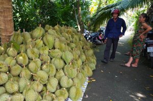 Trung Quốc cảnh báo với sầu riêng, mít Việt